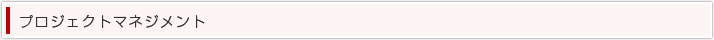 プロジェクトマネジメント